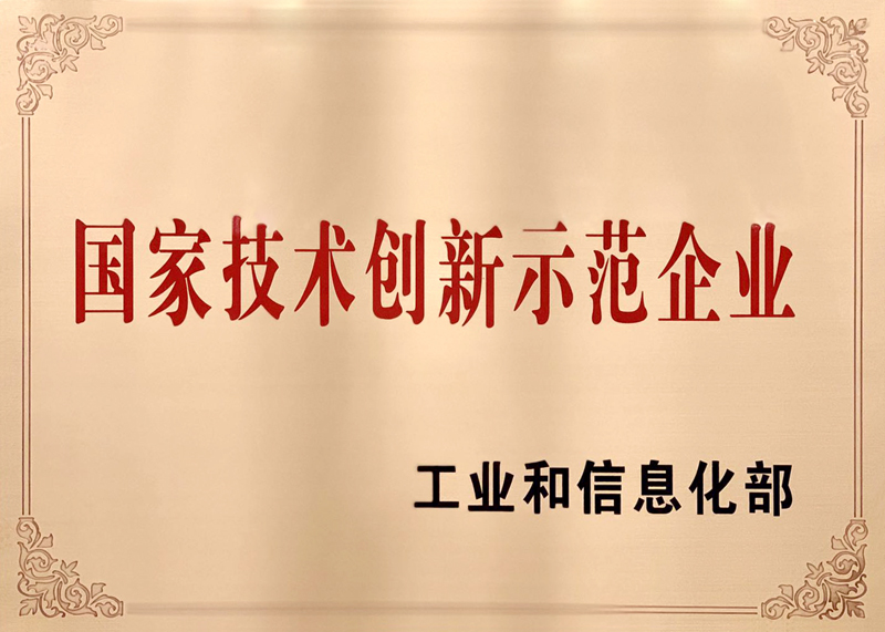 国家技术创新 示范企业